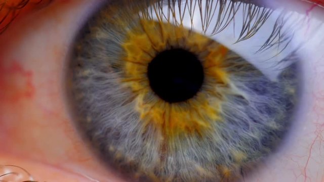 Human eye iris contracting. Extreme close up. 