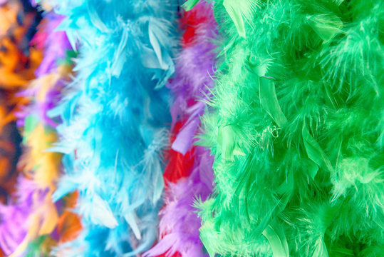 Colors of Mardi Gras in New Orleans © jovannig