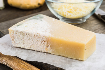 piece of cheese filled fungi