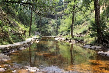 Fototapeta na wymiar River in Vietnam