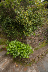 Typical schist homes in Portugal