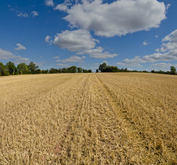 field agriculture farm crops england uk