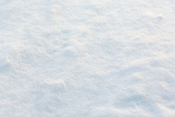 Fototapeta premium snow cover outdoors