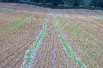 field agriculture farm crops england uk