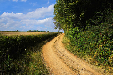 field agriculture farm crops england uk