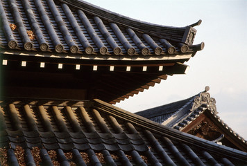 Fototapeta na wymiar Japan, Narita, temple roof detail