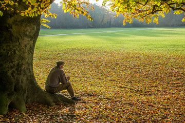 Uomo seduto sotto un albero in autunno all'Englischer Garten di Monaco di Baviera, Germania  - obrazy, fototapety, plakaty