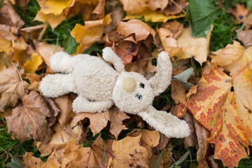 toy rabbit in fallen autumn leaves