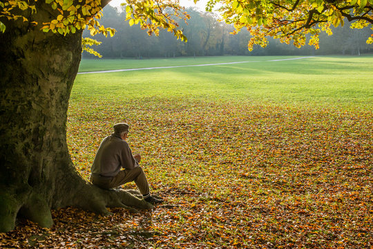 Uomo seduto sotto un albero in autunno all'Englischer Garten di Monaco di Baviera, Germania 