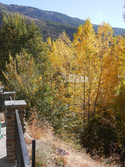 Fototapeta na wymiar Autumn colors in Alpujara Region, Spain