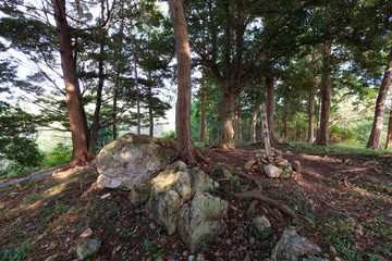 井伊谷城址 御所丸跡 -井伊氏 発祥の城-