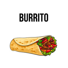 Burrito, traditional Mexican food, ground meet with vegetables rolled into tortilla, sketch vector illustration on white background. Hand drawn Mexican burrito - corn, wheat tortilla with meat filling - obrazy, fototapety, plakaty