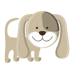 dog cartoon animal icon image vector illustration design 