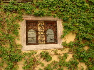The window and the climbers
