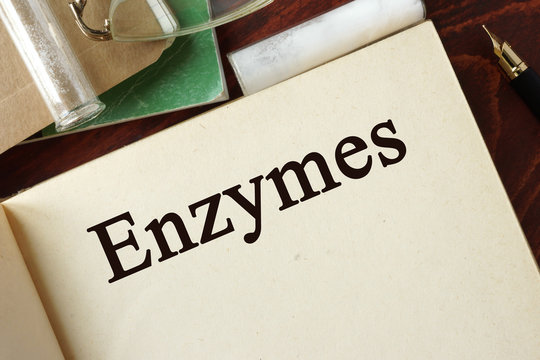 Enzymes Written On A Page. Chemistry Concept.