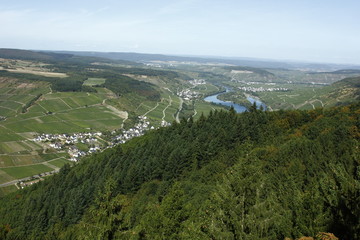 Blick vom Aussichtsturm 