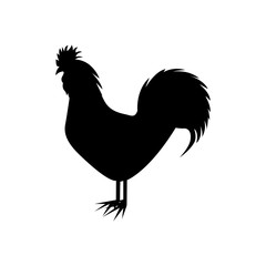 rooster animal cartoon icon image vector illustration design 