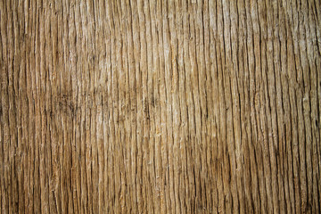 Fototapeta premium background
