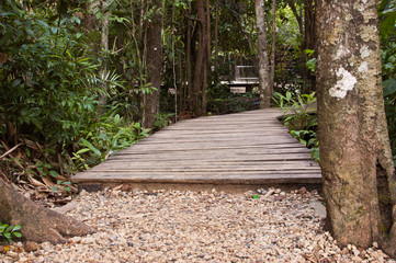 Nature Trail Wild Asia