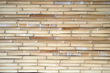 Bamboo Background