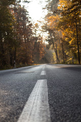 Empty wet country road with foliage trees on a late autumn day