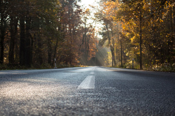Empty wet country road with foliage trees on a late autumn day