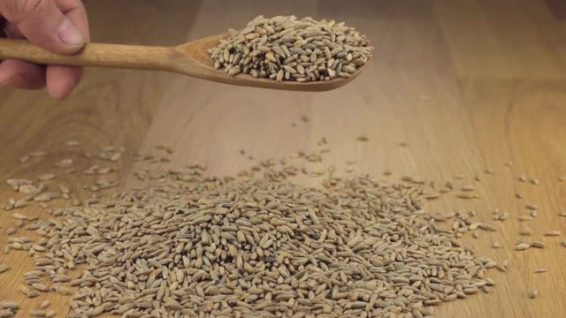 Rye grains get enough sleep from a wooden spoon on a pile of rye