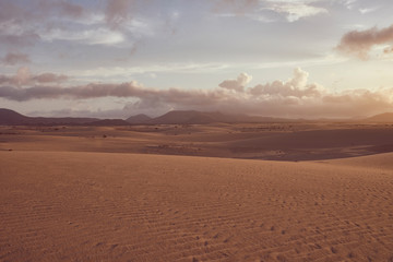 Fototapeta na wymiar Fuerteventura Wüste Corralejo