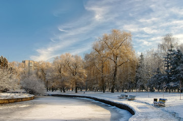Scenic view of the frozen pond