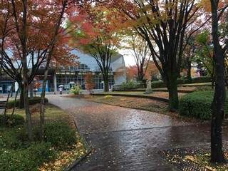 autumn in Takasaki