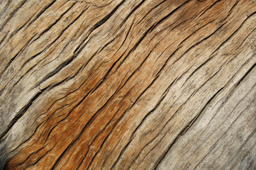Fototapeta na wymiar Vintage weathered wooden texture for design. Dark horizontal background of wood. Cracked surface.