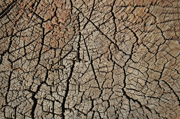  Vintage weathered wooden texture for design. Dark horizontal background of wood. Cracked surface.