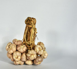 Bunch of garlic bulbs tied together for hanging on storage rail. Taken on White bacground in close range.