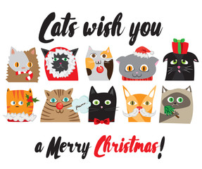 Set of  illustrated cartoon Christmas cats portraits. Cute animal characters. New Year postcard