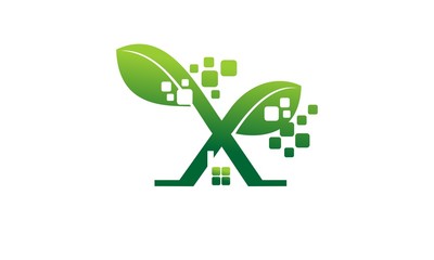 Anthurium flowers planted in the wide leaves of black vase on a park / garden