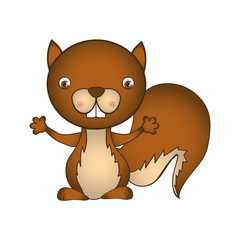 squirrel animal cartoon icon image vector illustration design 