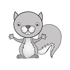 squirrel animal cartoon icon image vector illustration design 