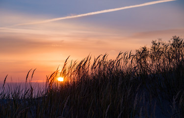 Naklejka premium sunset
