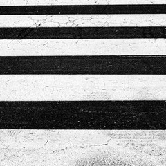 Fototapeta premium The Pedestrian crossing