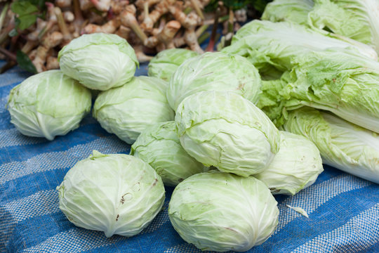 Cabbage in the market
