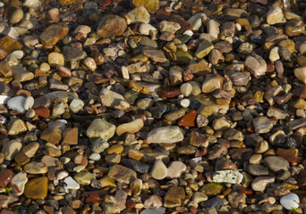 Background from a lot of sea stones