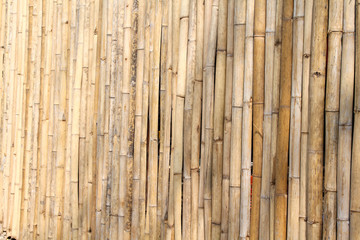 Beautiful yellow bamboo texture background.