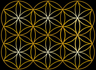 Flower of life
