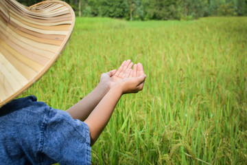 Asain girl farmer on field,Happy farmer