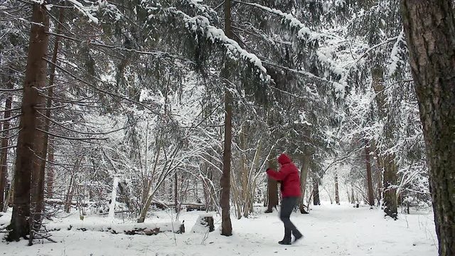 Удар головой в дерево