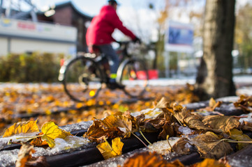 Autumn cycling