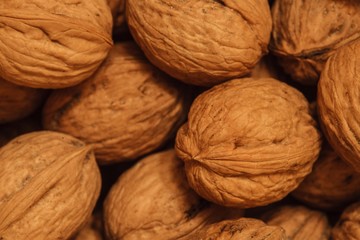 dry walnuts photo in the nutshell, circassian walnuts