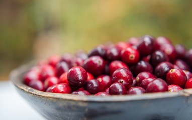 Fresh cranberries in wooden bowl