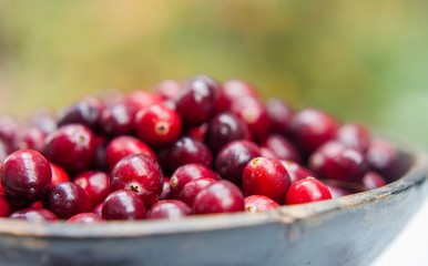 Fresh cranberries in wooden bowl
