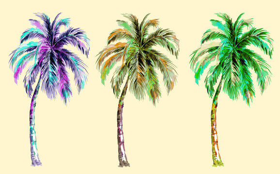  tropical palm trees, vector isolated